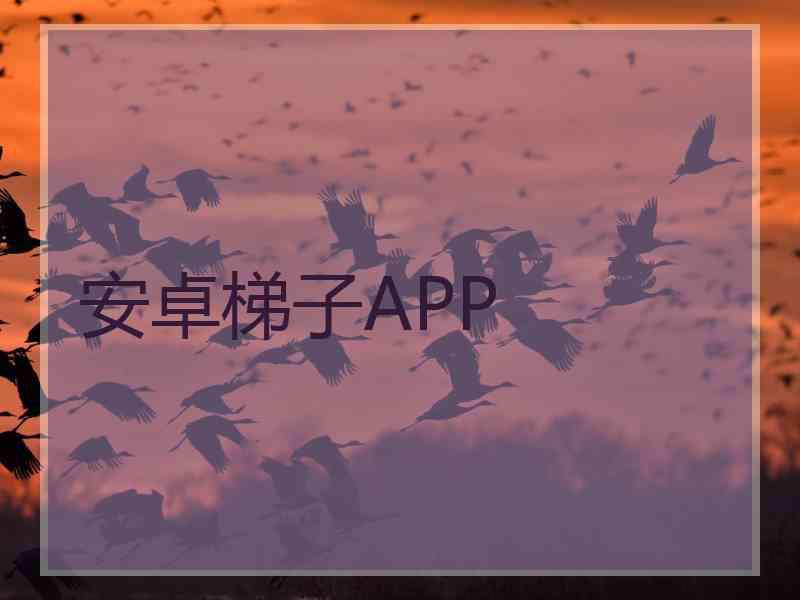 安卓梯子APP