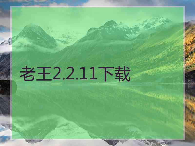 老王2.2.11下载