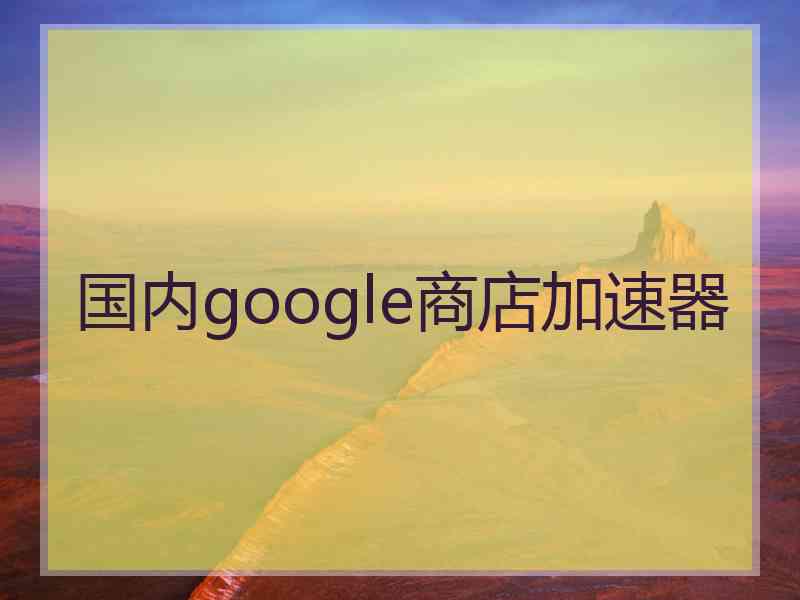 国内google商店加速器