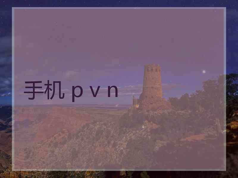 手机 p v n