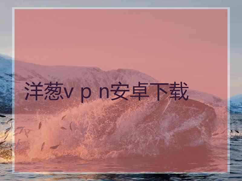 洋葱v p n安卓下载