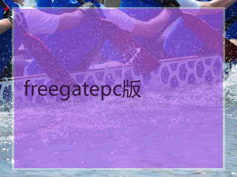 freegatepc版