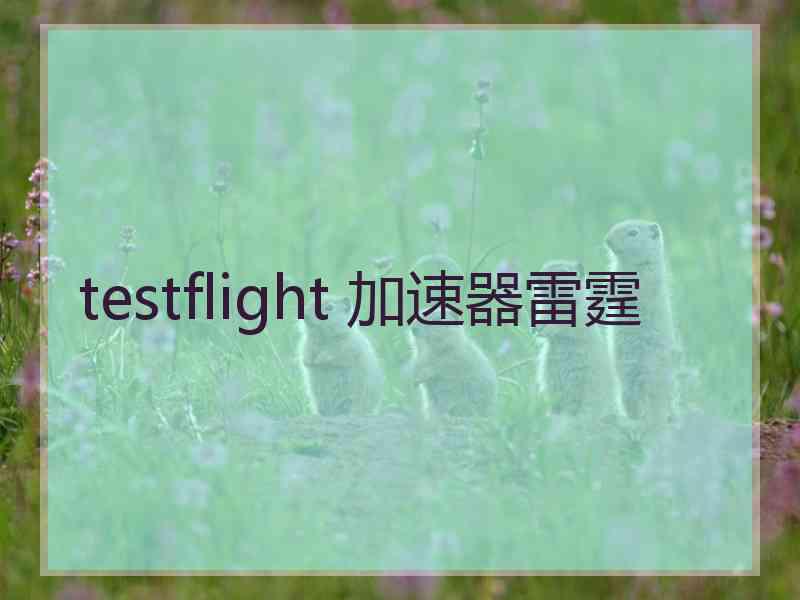 testflight 加速器雷霆