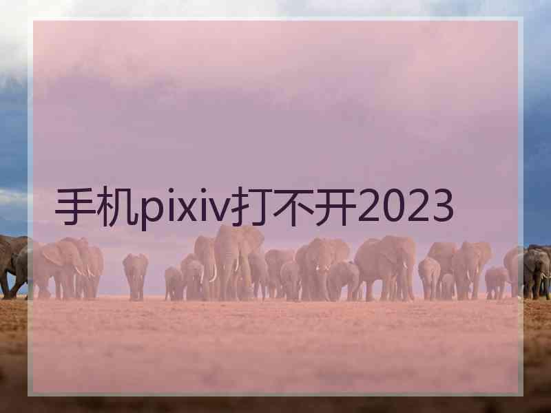 手机pixiv打不开2023