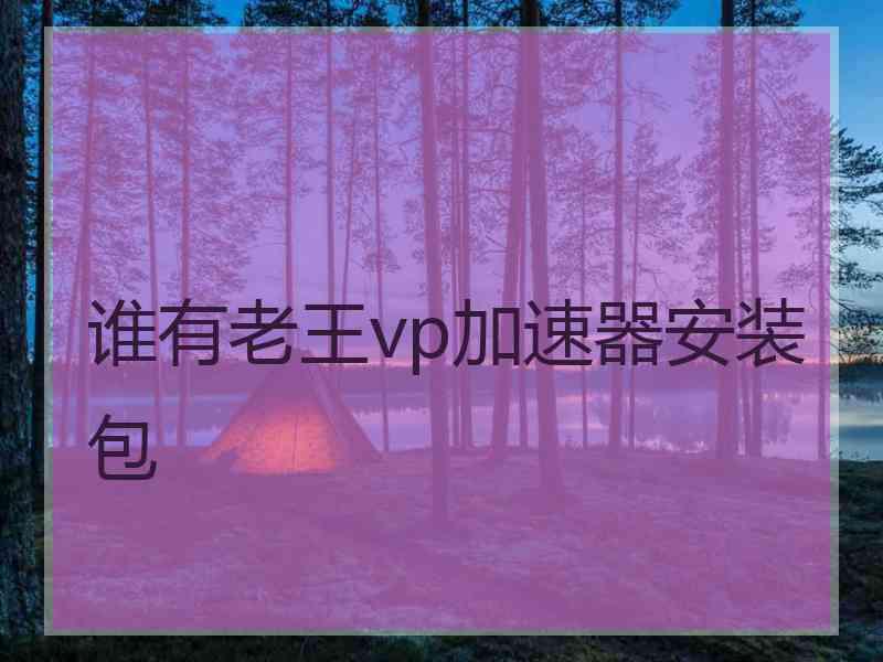 谁有老王vp加速器安装包