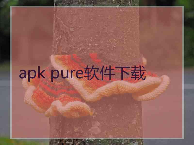 apk pure软件下载