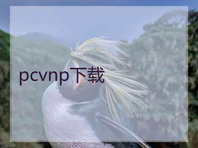 pcvnp下载