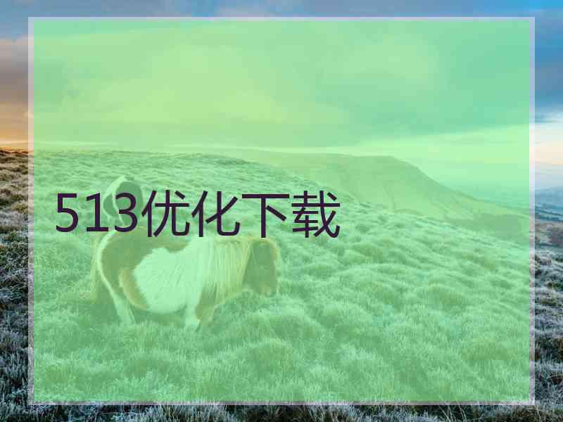 513优化下载