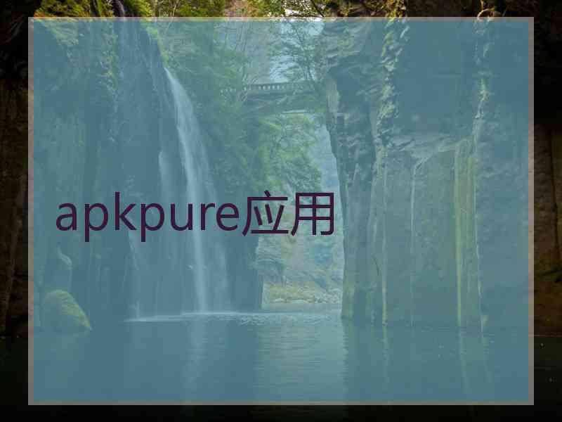 apkpure应用