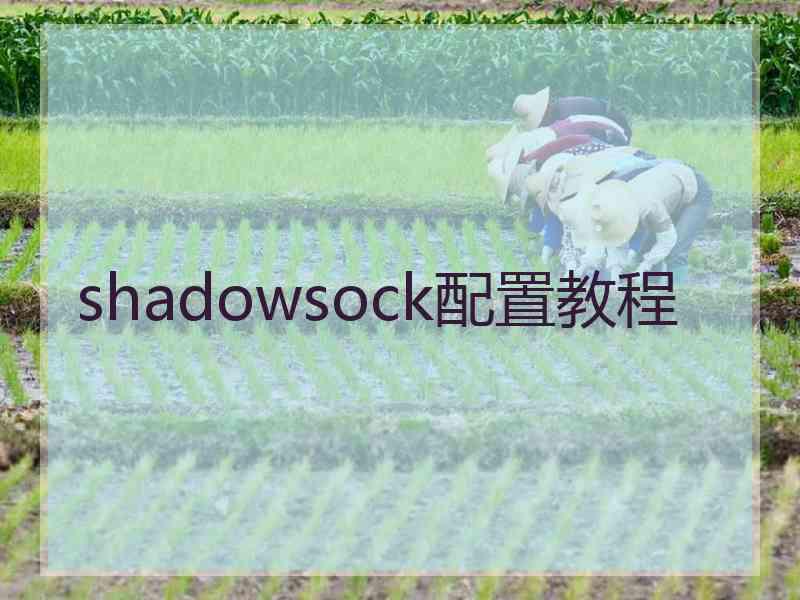 shadowsock配置教程