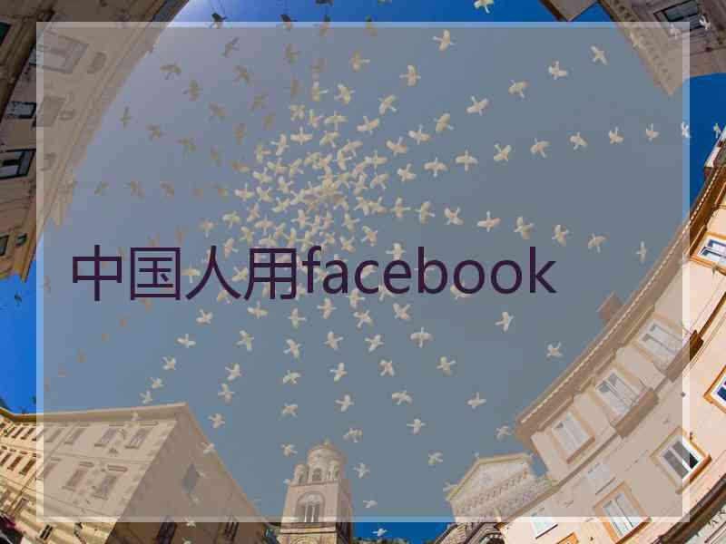 中国人用facebook