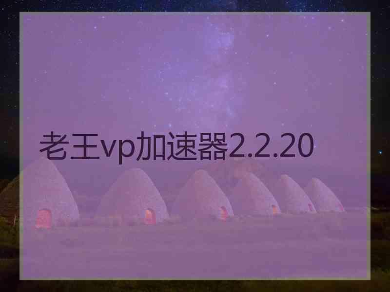 老王vp加速器2.2.20